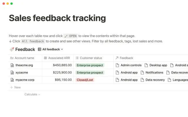 Notion's sales feedback tracking screenshot 4